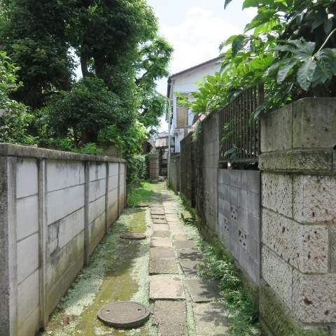 内観
