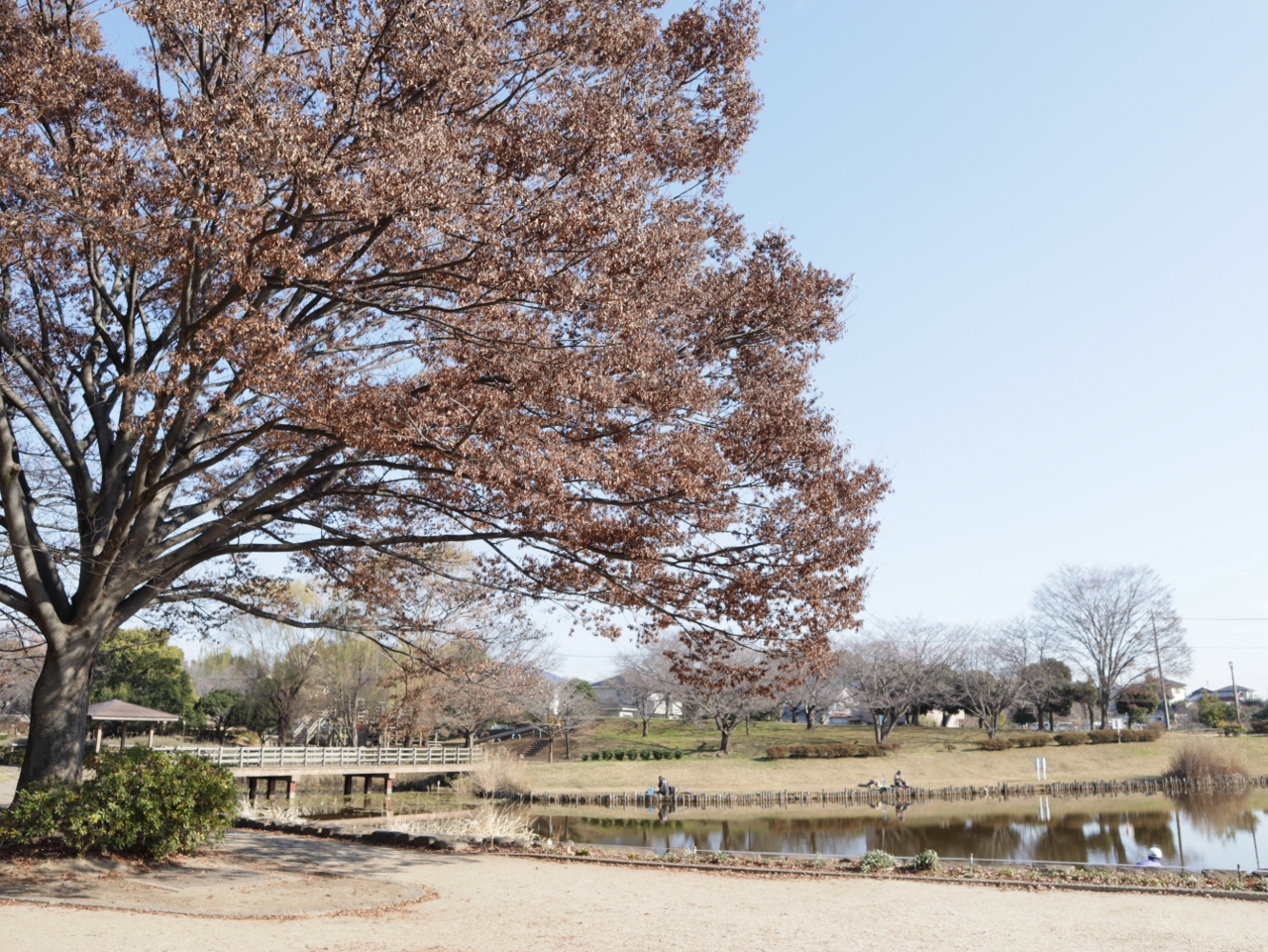 西城沼公園まで約650m