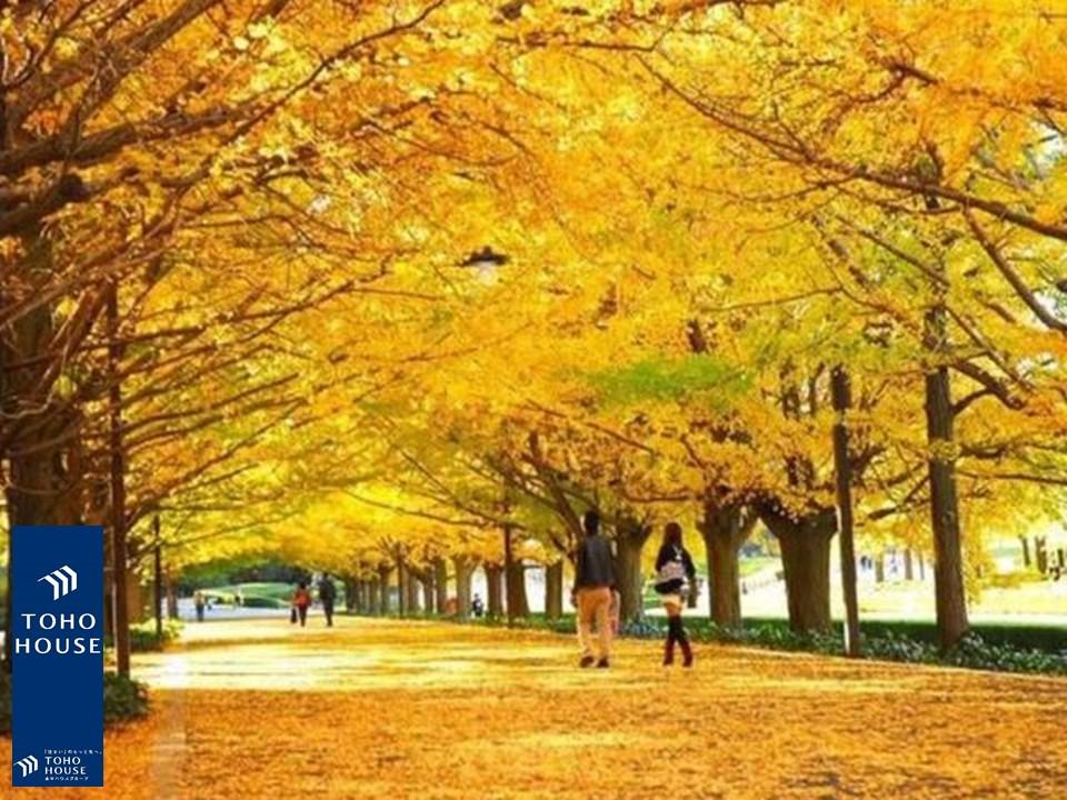 昭和記念公園まで約550m