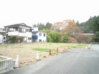 画像有