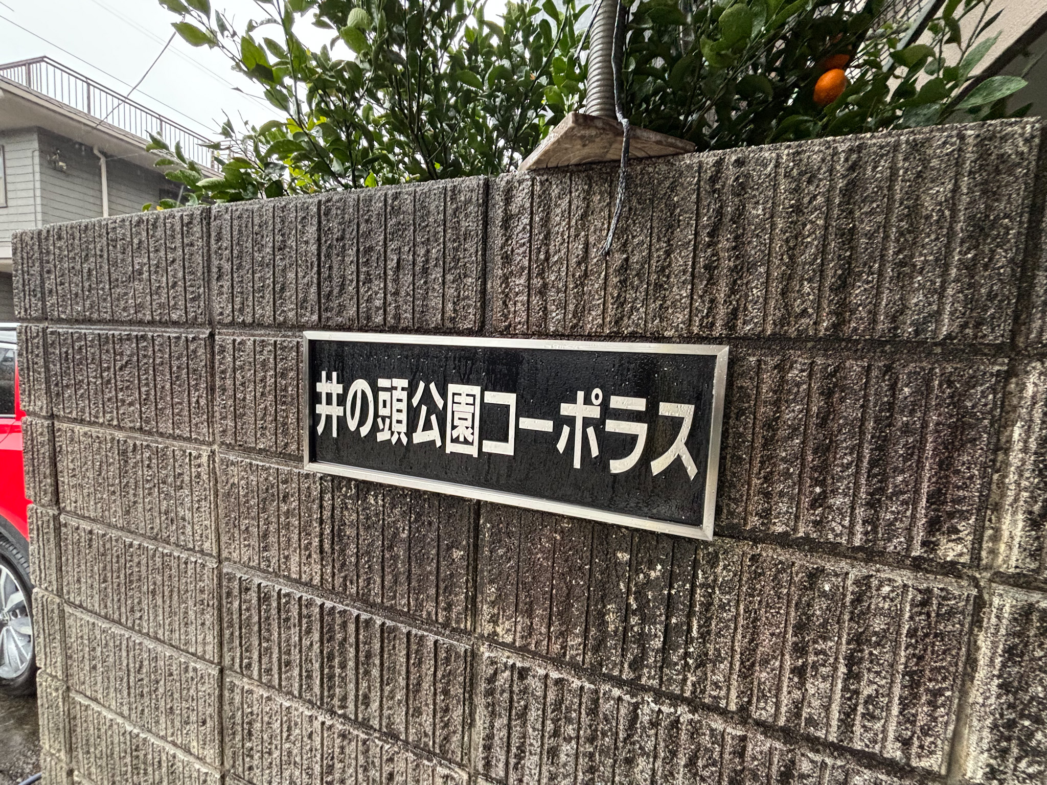 物件画像 井の頭公園コーポラス