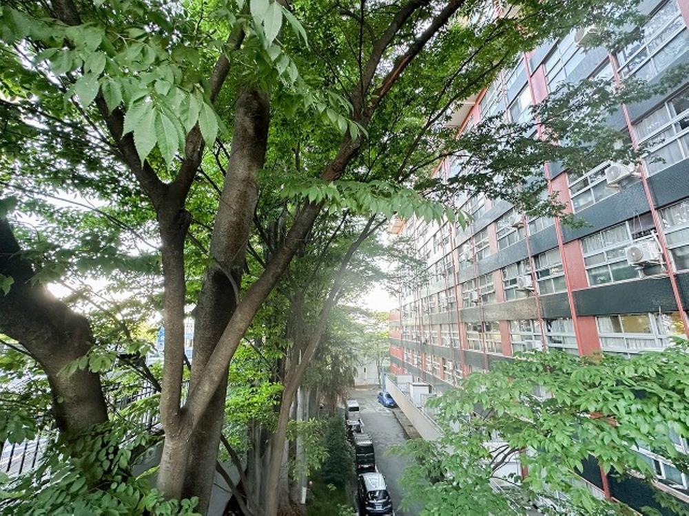 東京都小金井市前原町３丁目