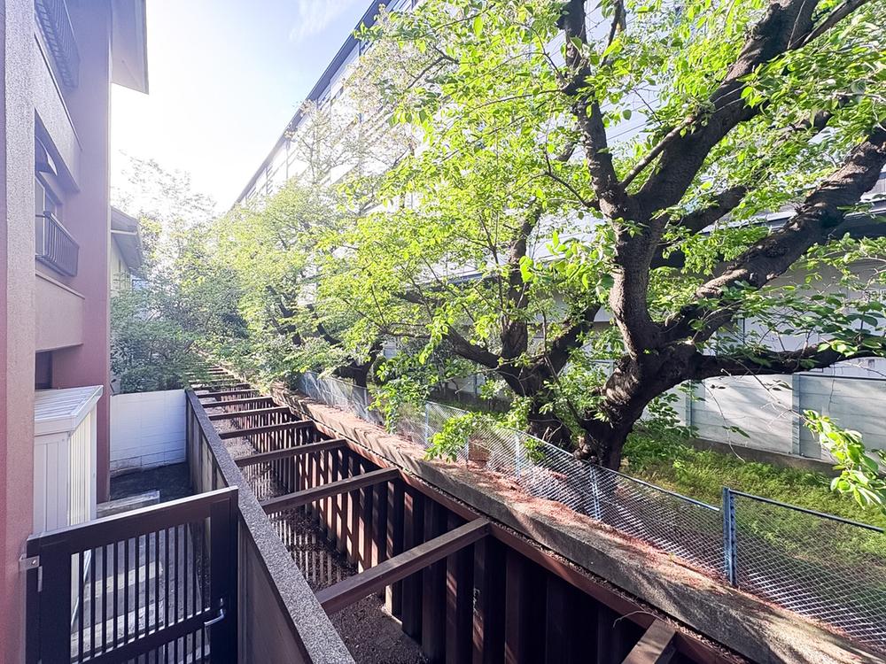 東京都三鷹市下連雀８丁目