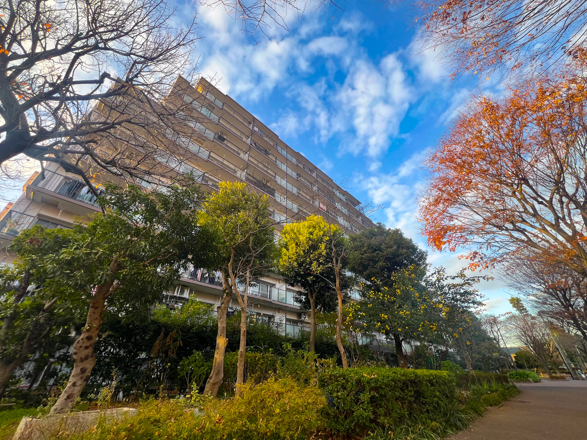 物件画像 コープ府中武蔵野台3号棟