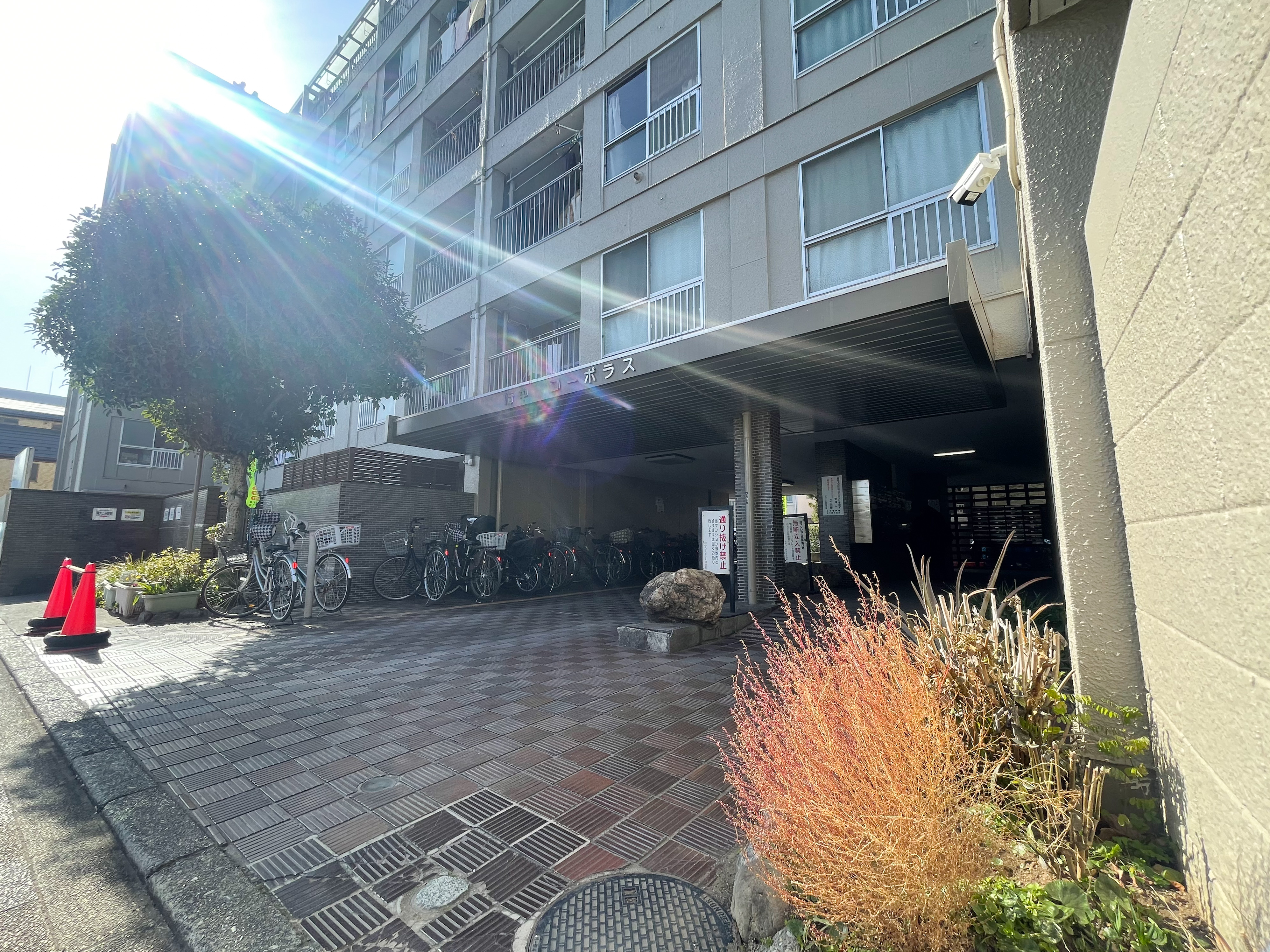 物件画像 府中コーポラス