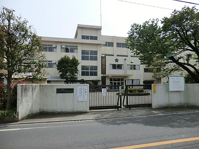 Image 13