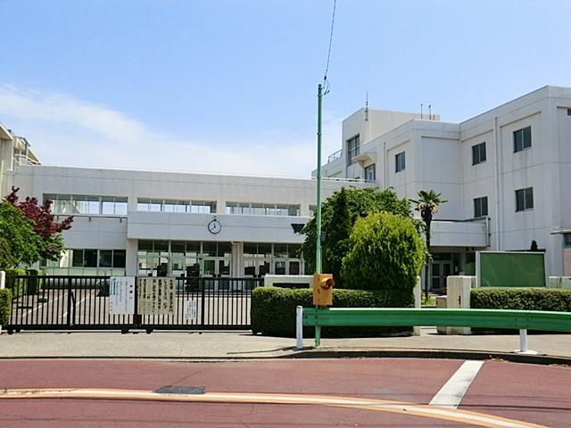 Image 14