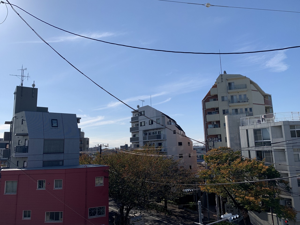 春には中野通りの桜並木が眺められます