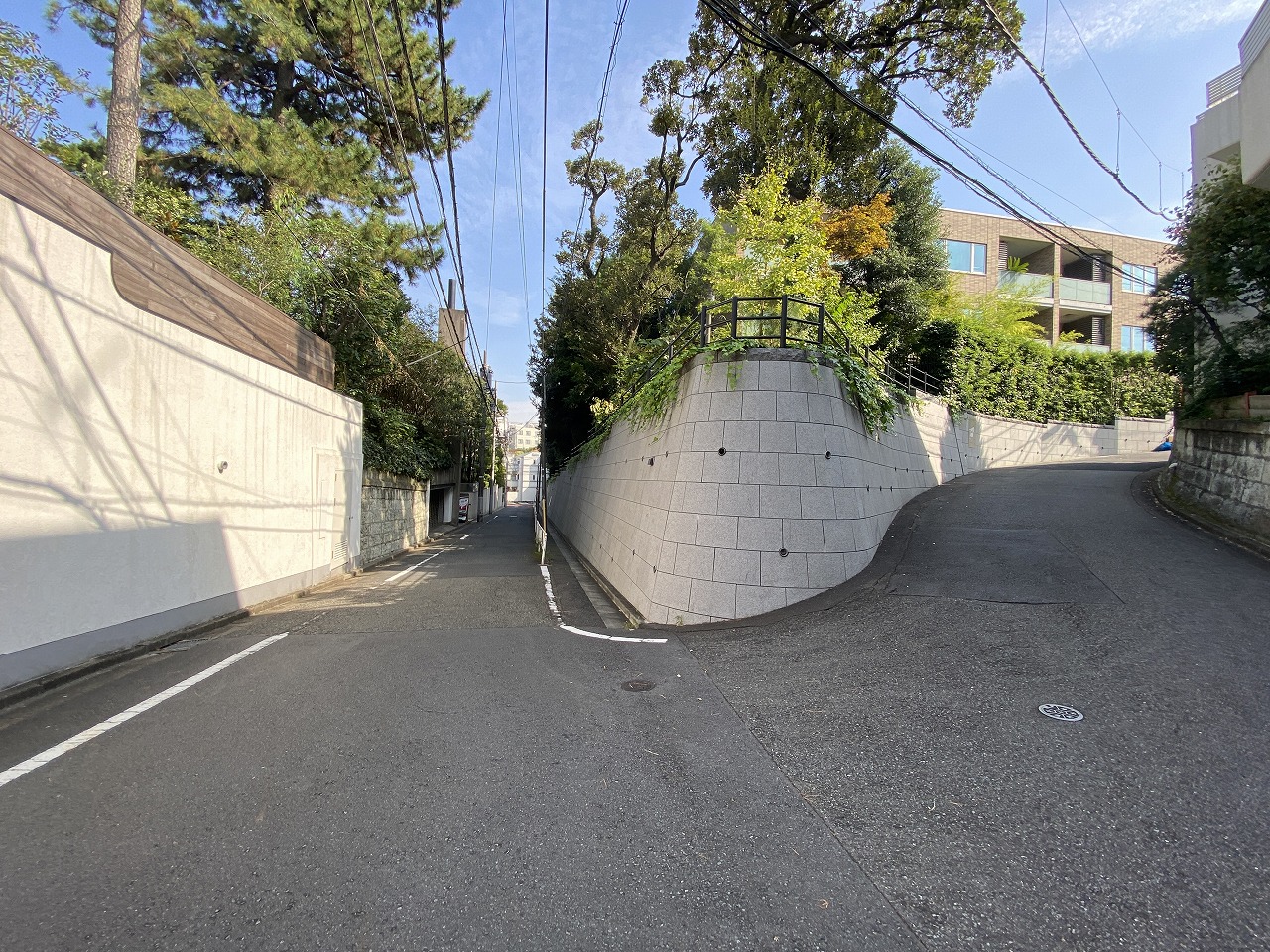 周辺道路には緑多い環境です!