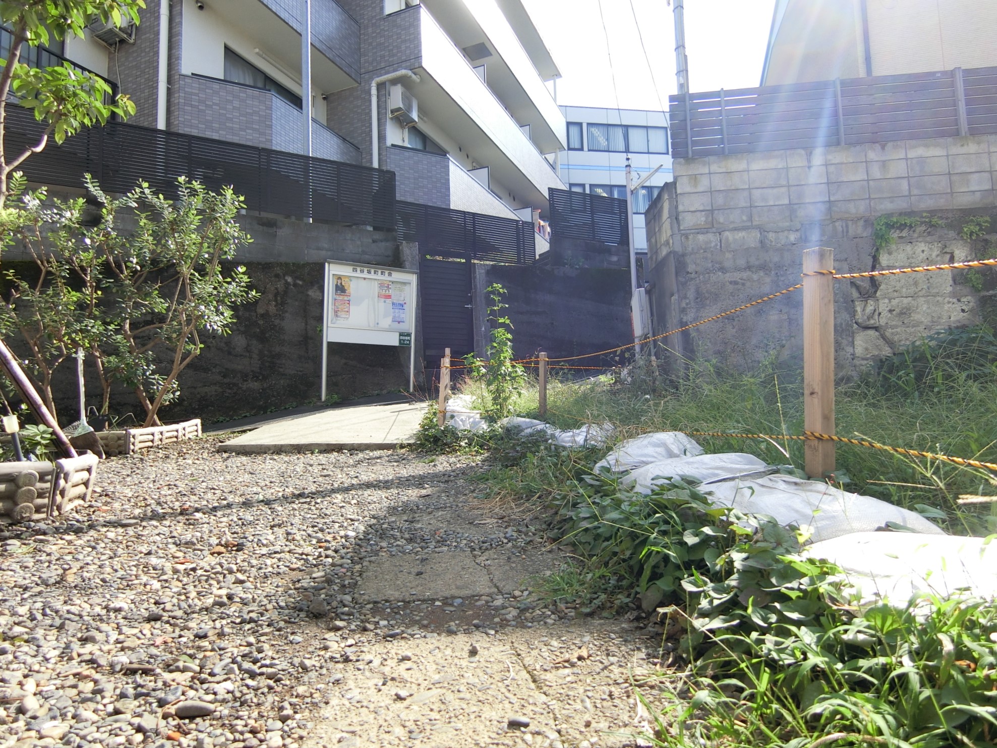 前面道路 北側より撮影★
