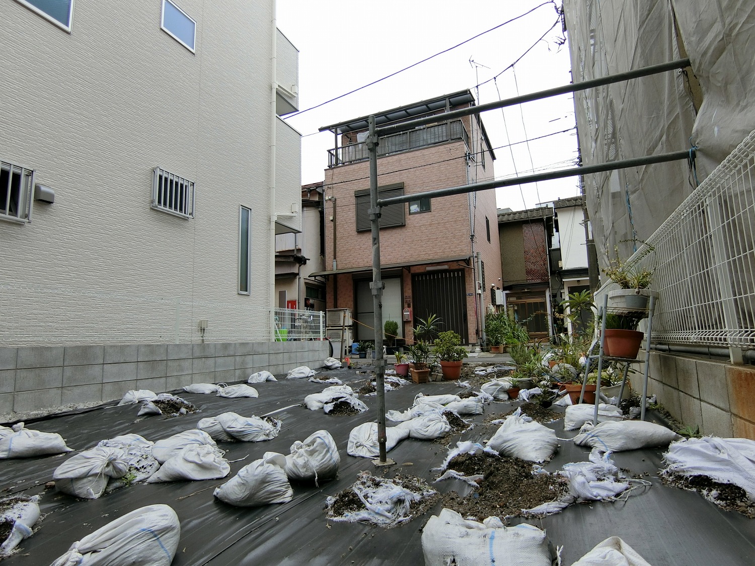 第二寺島小学校が東向島駅前になります。人が多いので安心して登校できます。