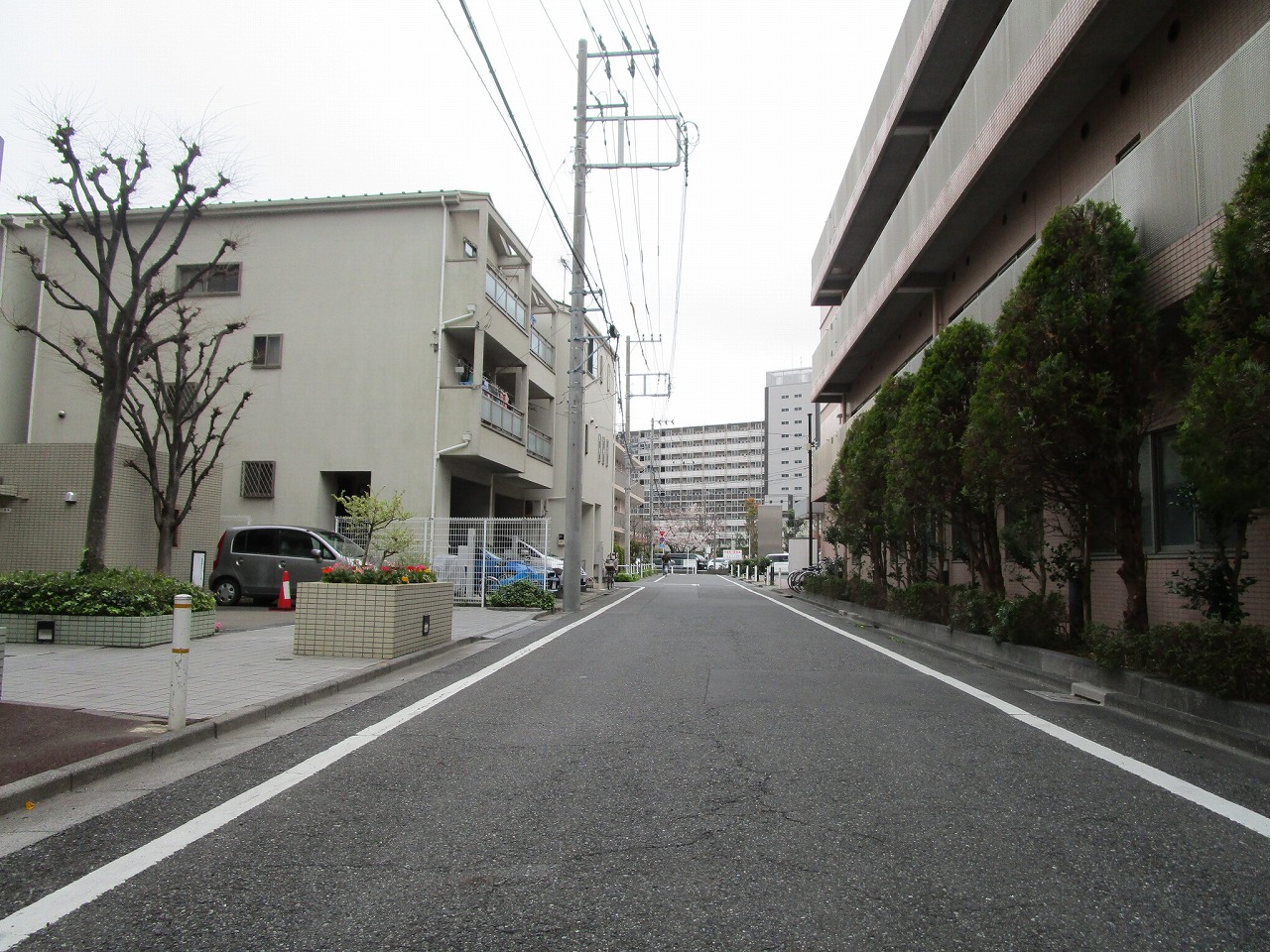 現地前面道路広々♪