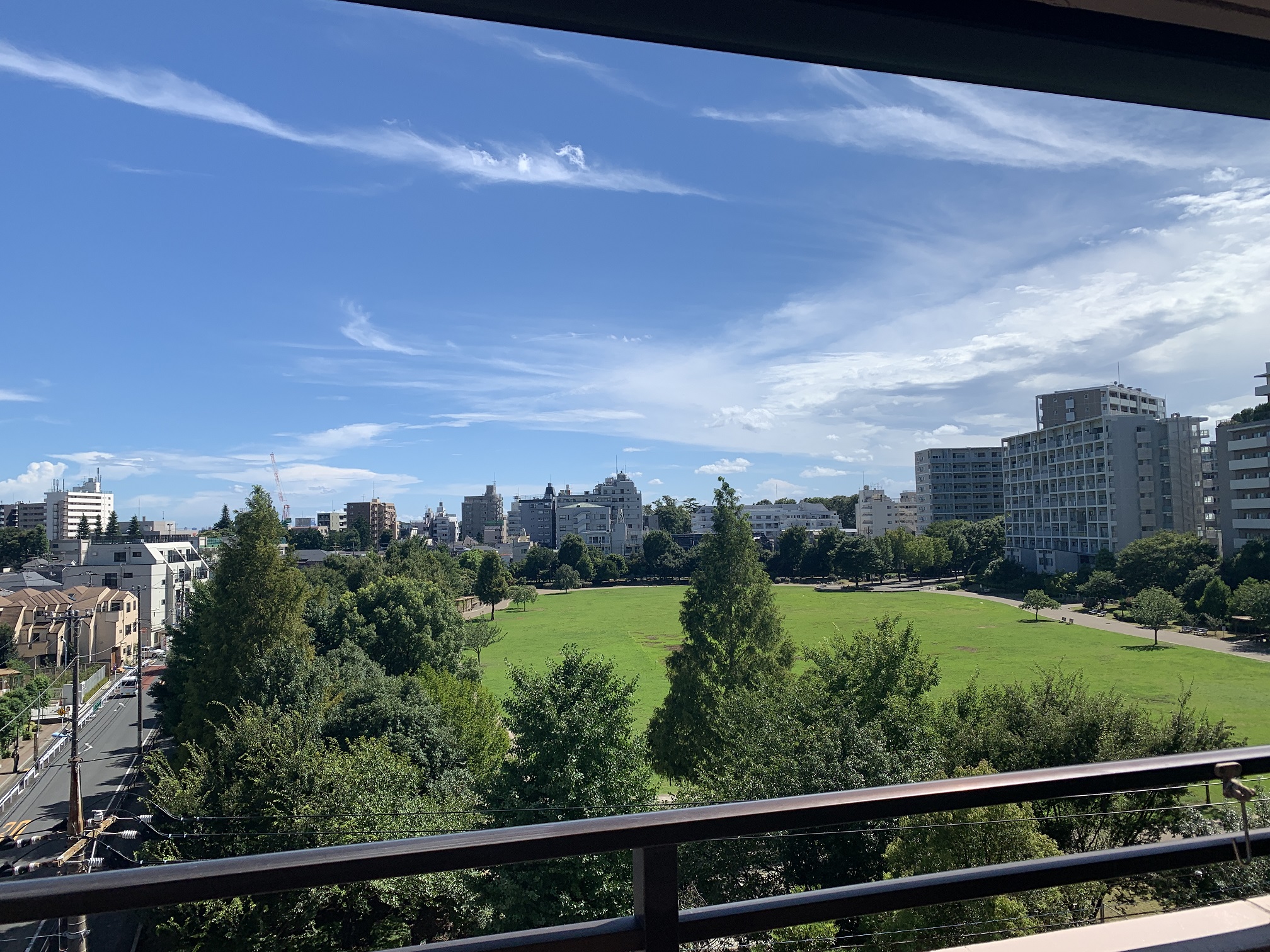 南側は公園ビューです!高い建物が無いので、開放感があります!