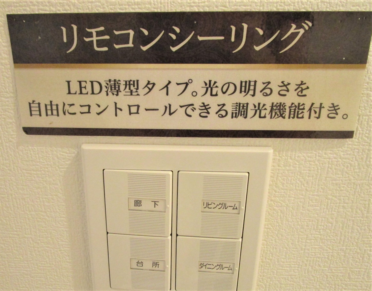 調節できるダウンライト☆