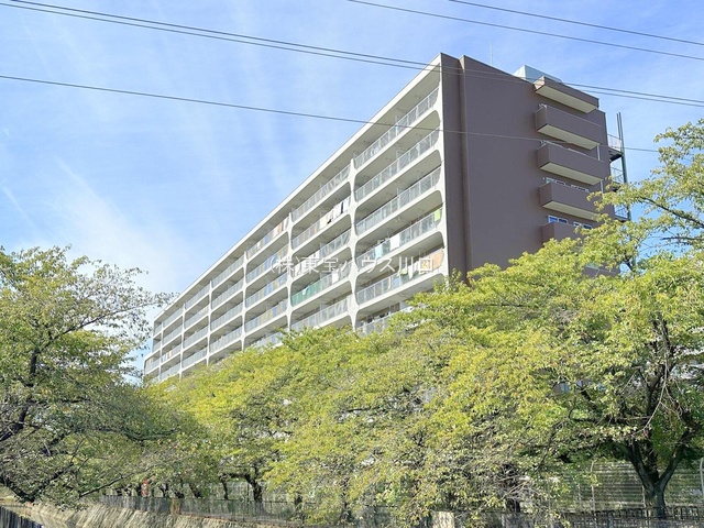 物件画像 草加松原ハイツA棟