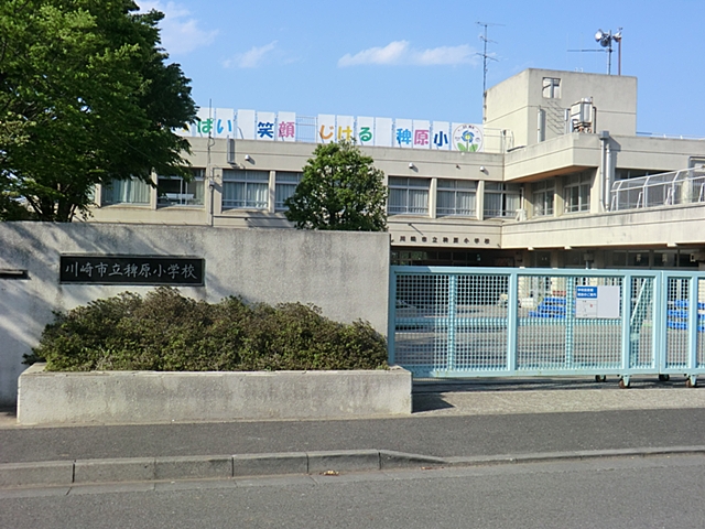 川崎市立稗原小学校 距離約270m