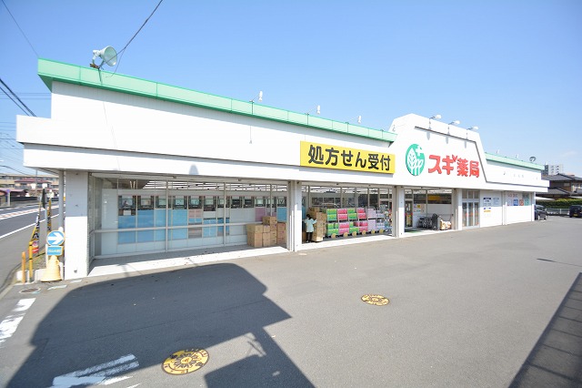 スギ薬局 厚木恩名店 距離約750m