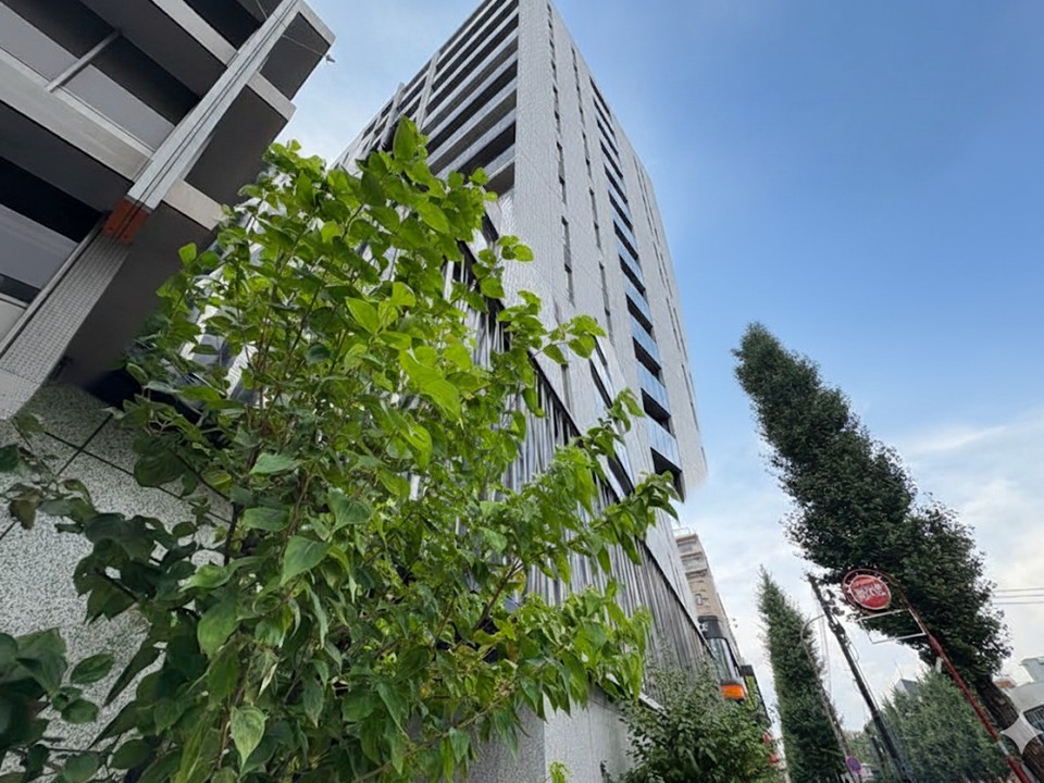 マンションイメージ