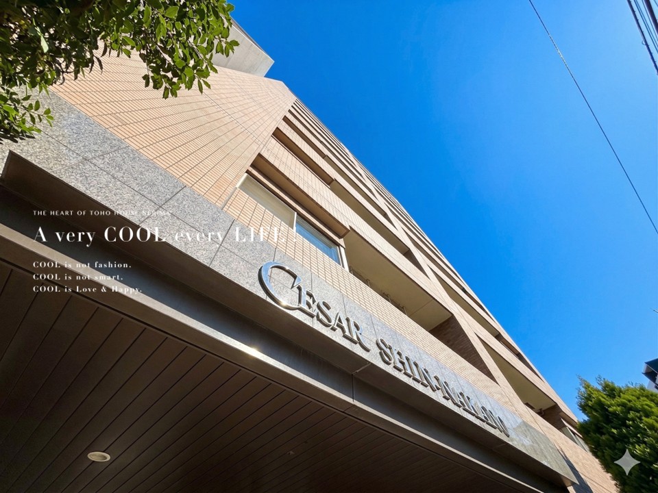 セザール新中野