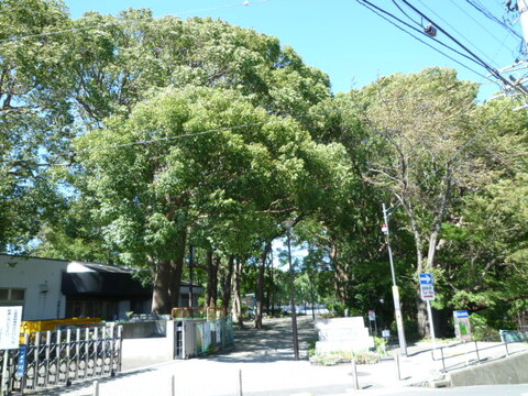 常盤公園(徒歩8分)