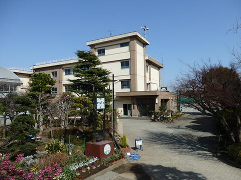 川崎市立中原小学校(徒歩8分)