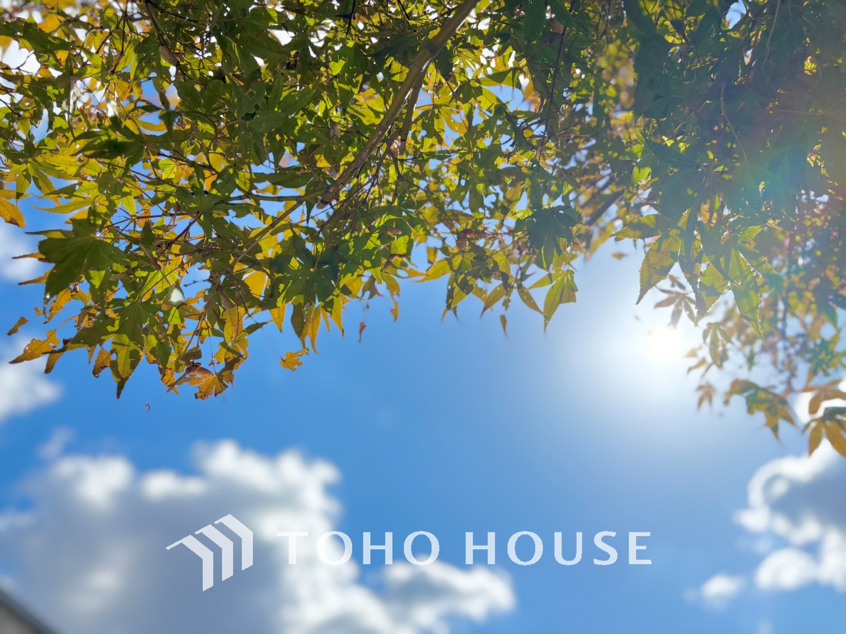 東京都練馬区南田中４丁目