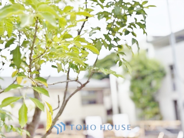 東京都杉並区上井草４丁目