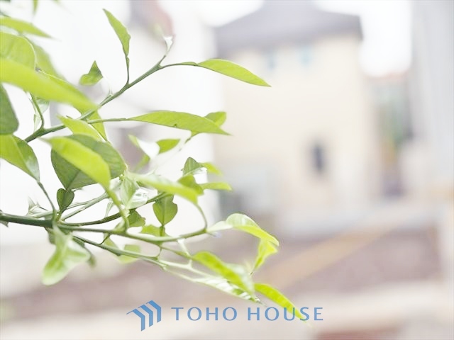 東京都杉並区成田東３丁目