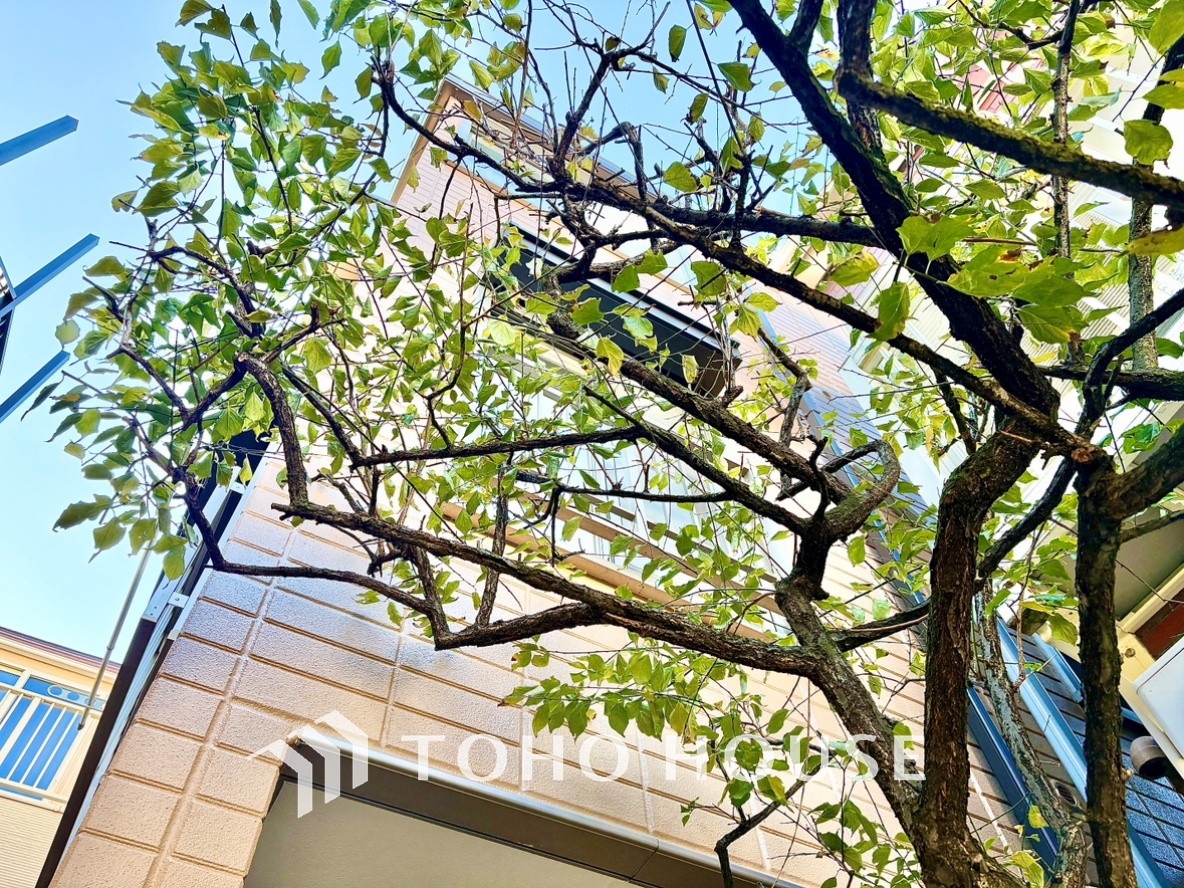 東京都豊島区南長崎４丁目