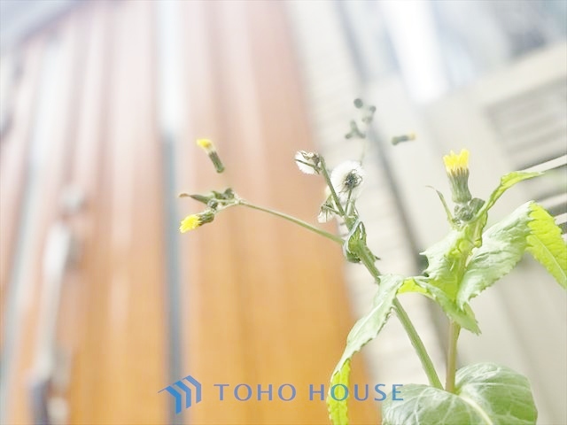 東京都豊島区東池袋４丁目