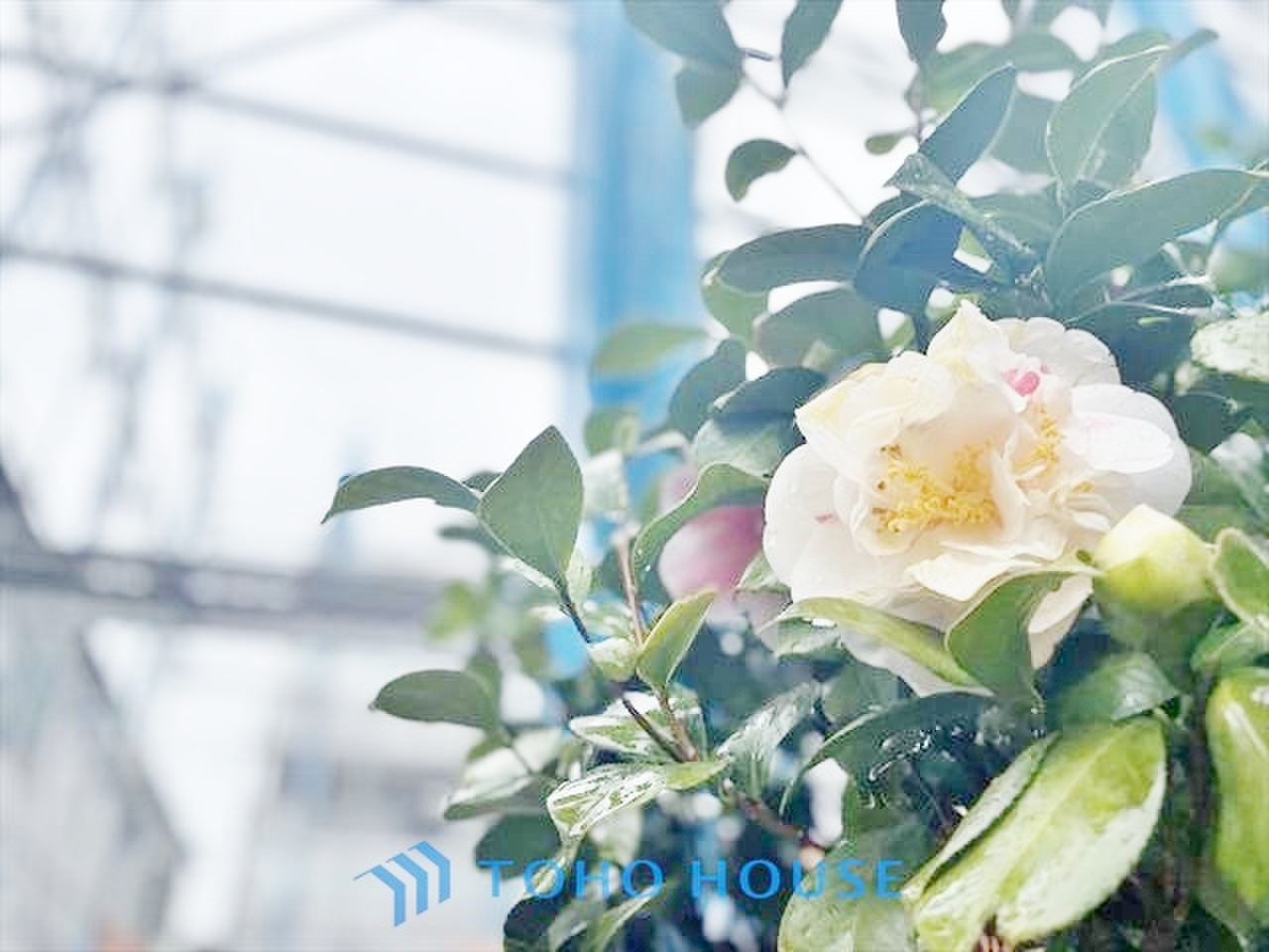 東京都中野区新井１丁目