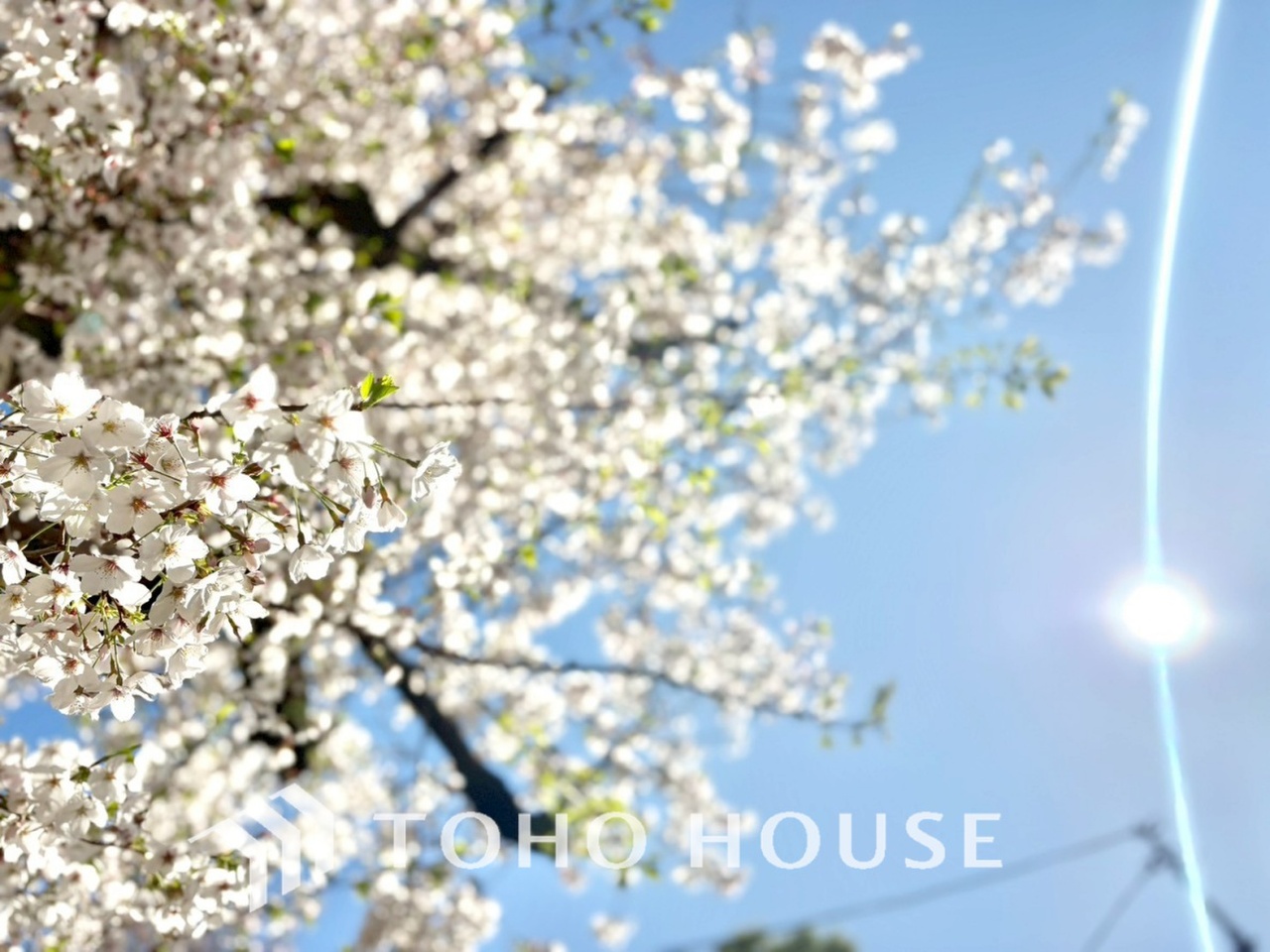 東京都杉並区和泉４丁目