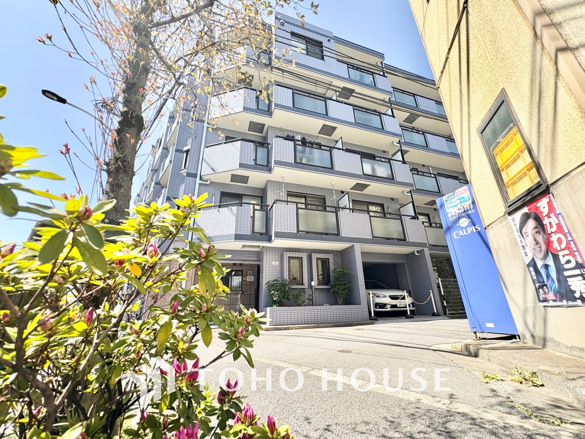 セザール上井草