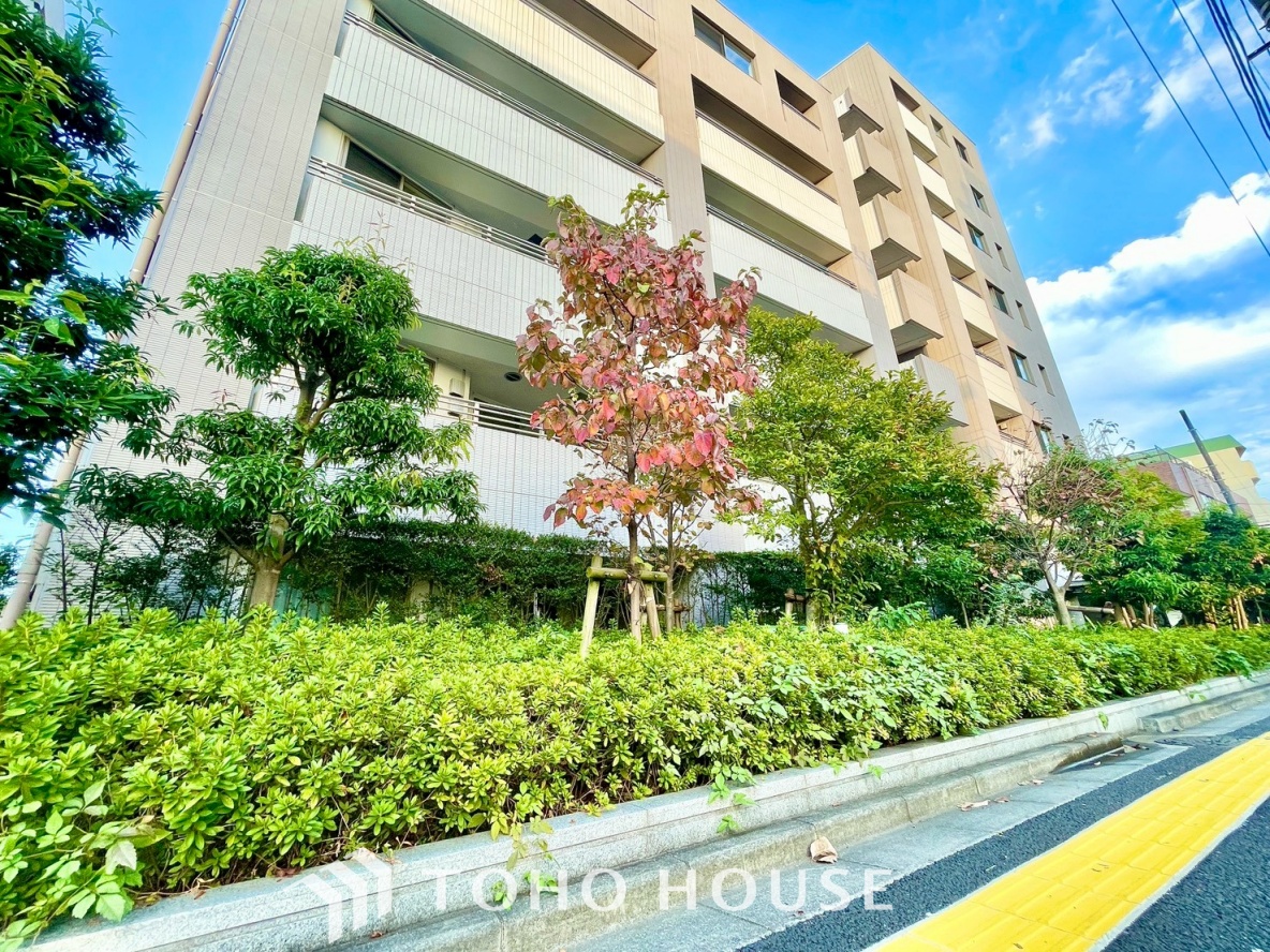 クラッシィハウス浜田山