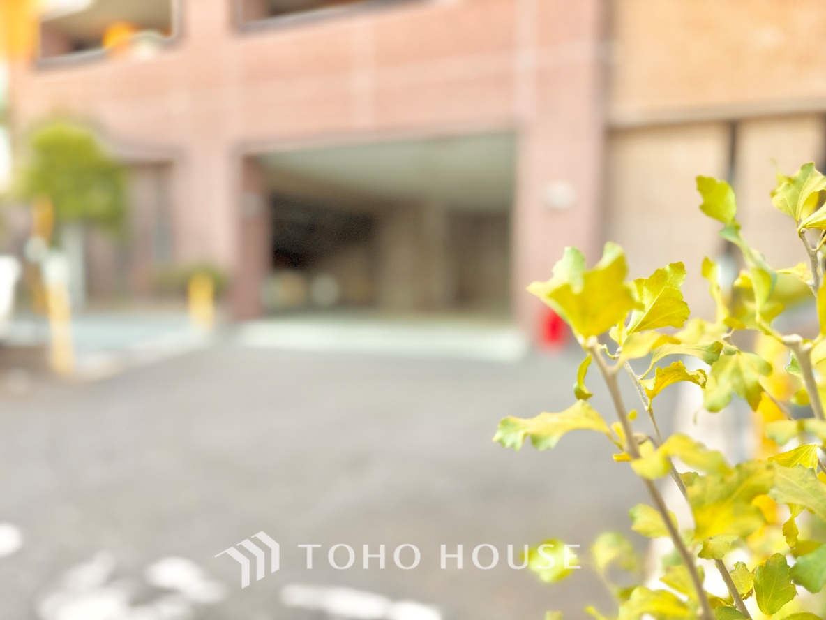 シーズガーデン石神井公園