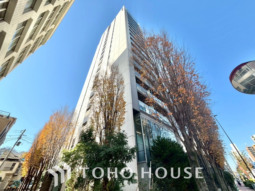 モデルノトッレ松濤