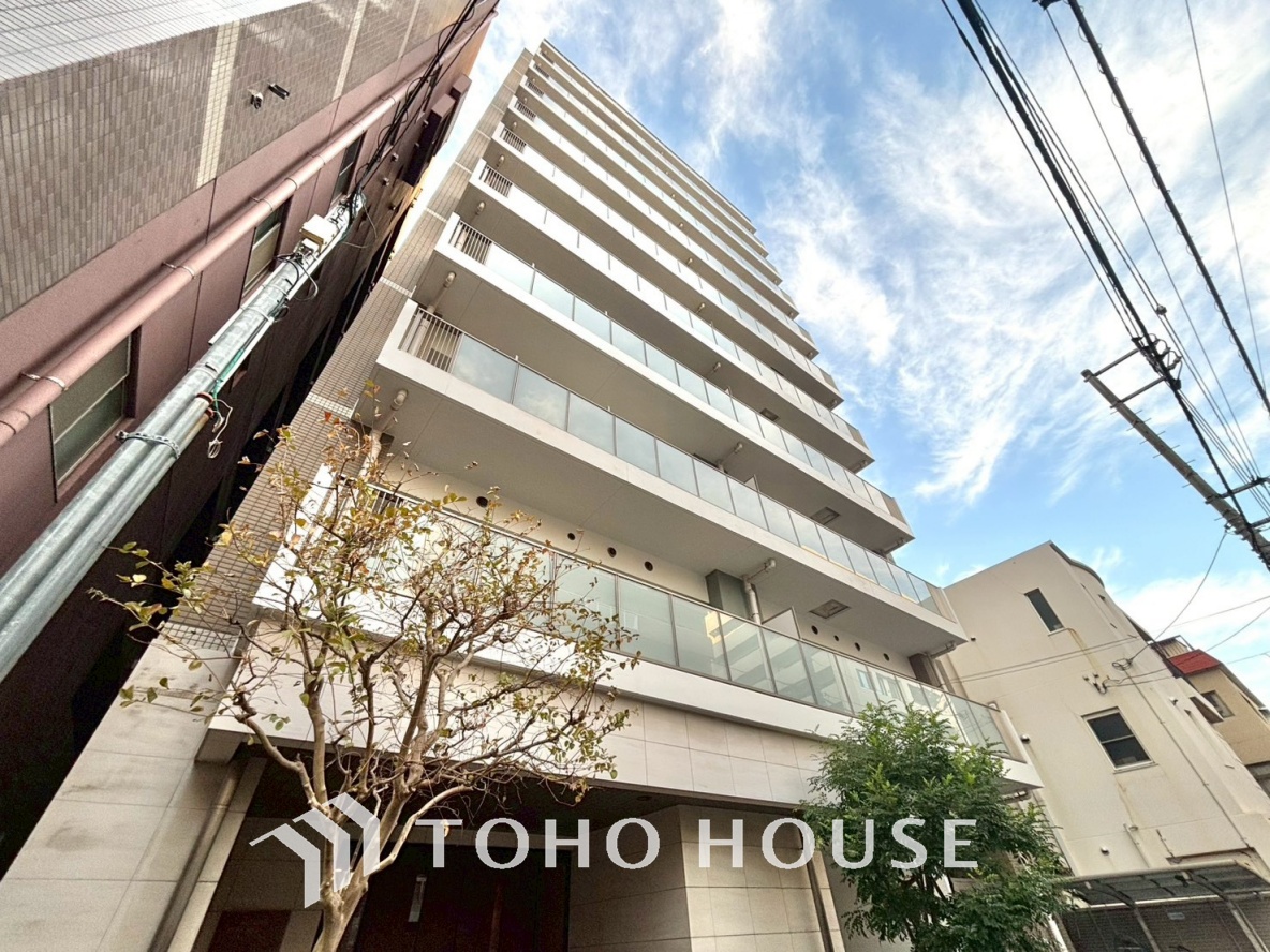 ミオカステーロ入谷