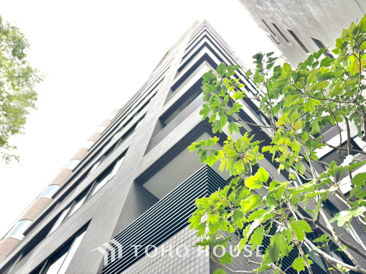 ガレリア・マーレ日本橋