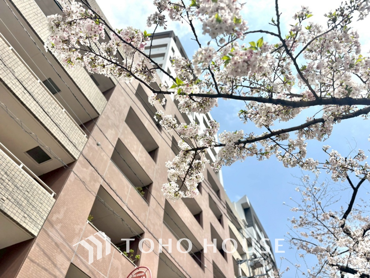 パークウェル銀座ＥＡＳＴ