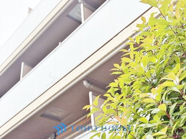 ブライズ杉並和泉