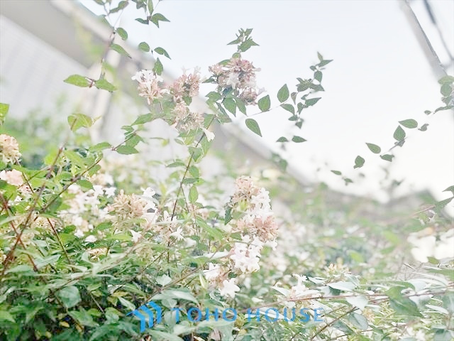 シャリエ上井草