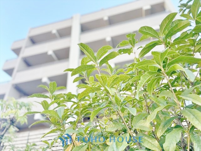 コスモ田端シティフォルム