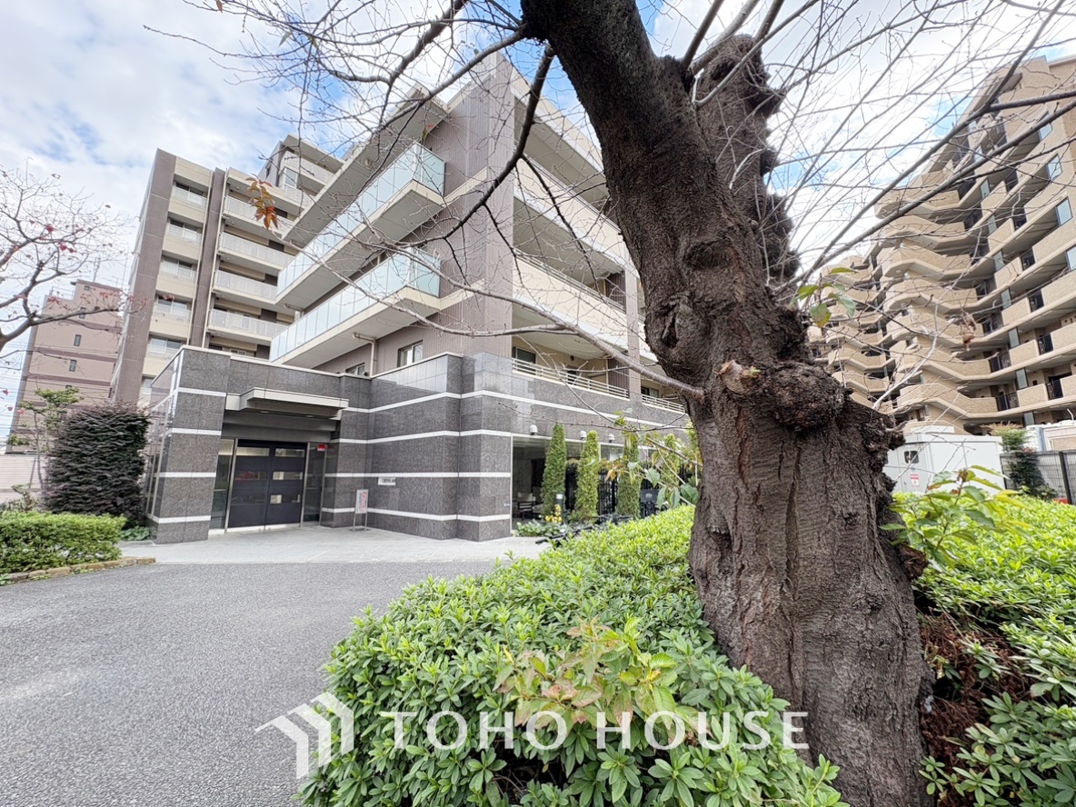 クレヴィア赤羽