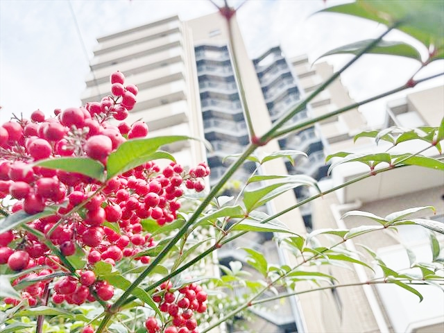 ソネット上池袋