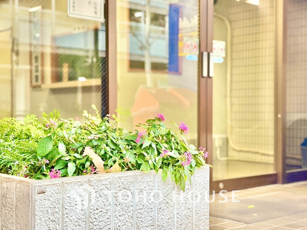 パールハイツ幡ヶ谷