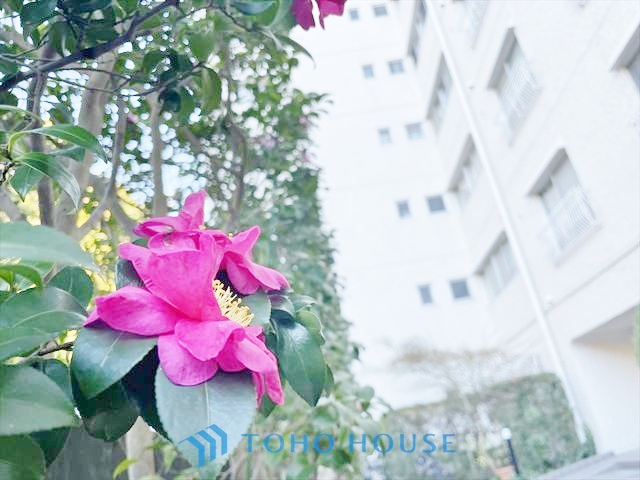 ガーデンハウス