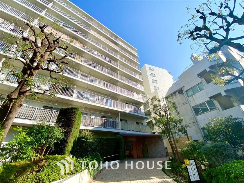 目白ガーデニア