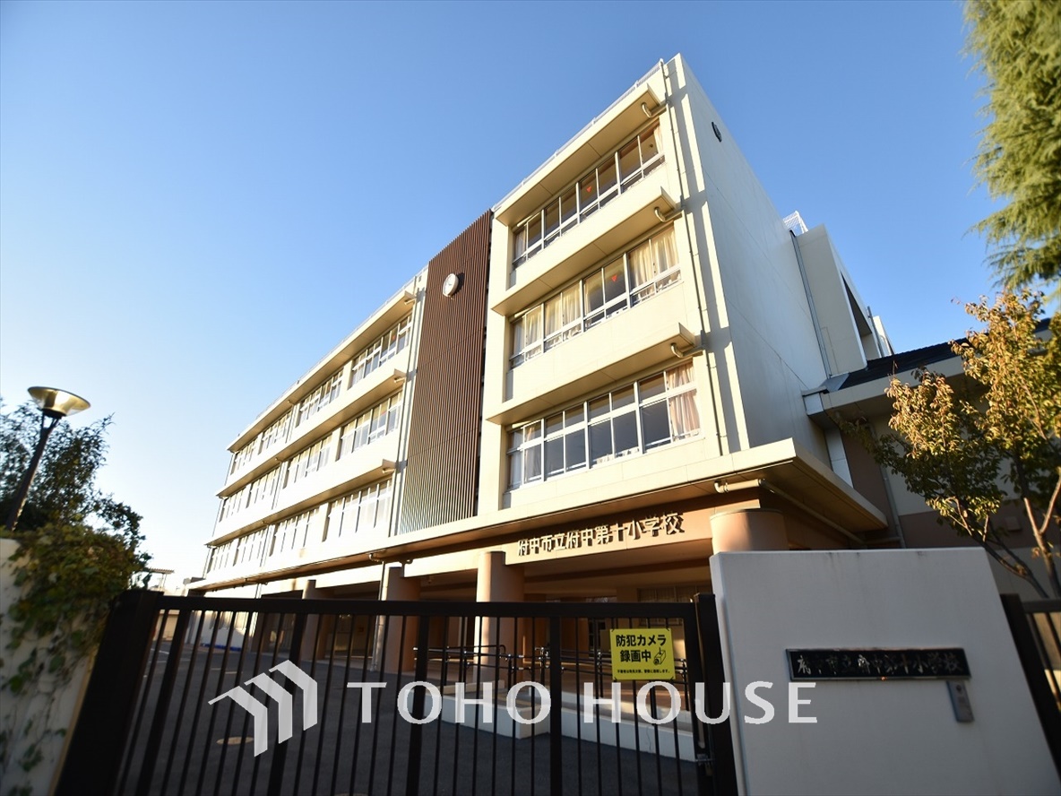 府中市立府中第十小学校 距離約700m