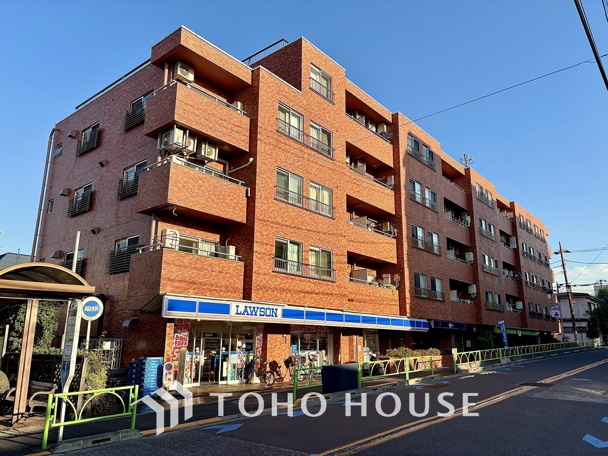 シャンボール弦巻