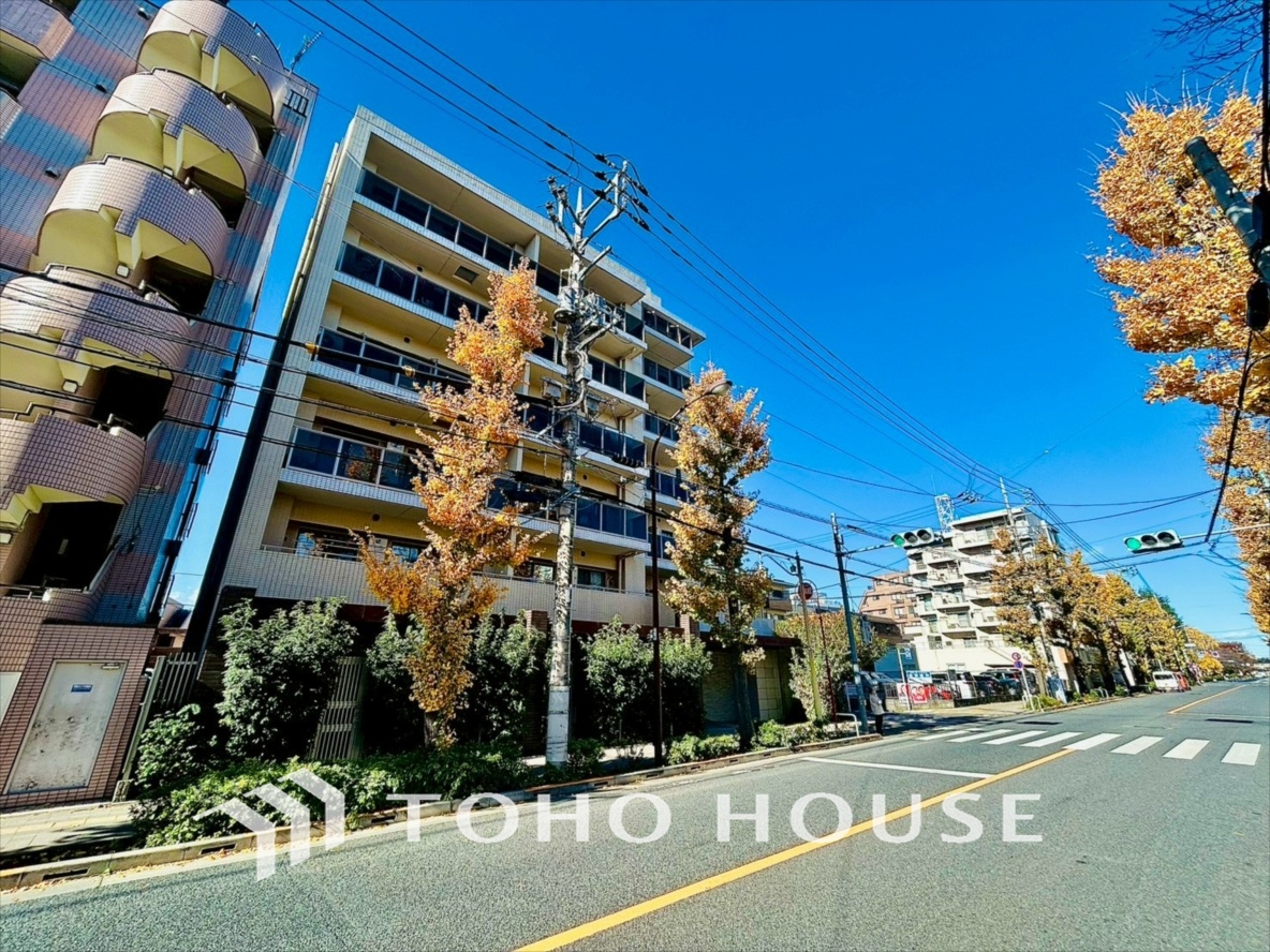 レアシス国立大学通り